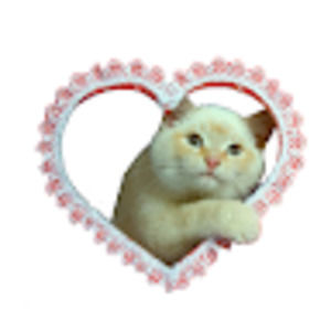 Meet your Posher, Lhean